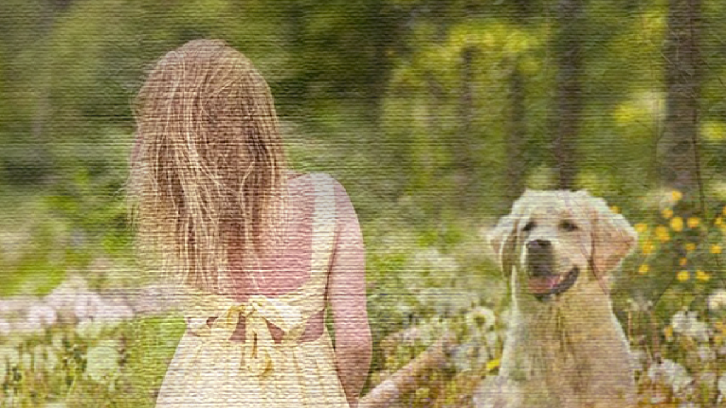 Cajsa på äng med hund